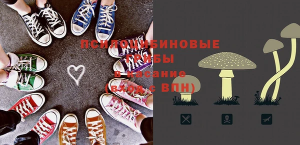 тгк Алзамай