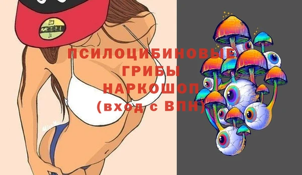 тгк Алзамай
