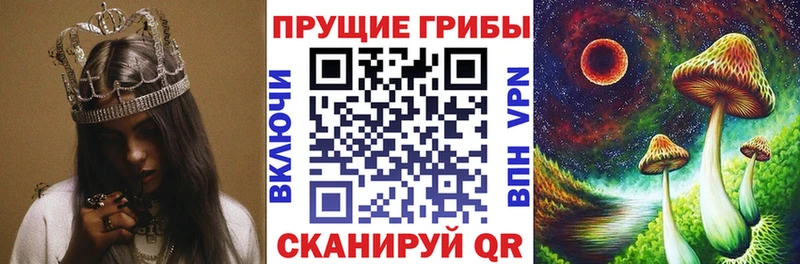 Псилоцибиновые грибы GOLDEN TEACHER  Долинск 