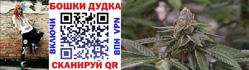Бошки марихуана сатива  Долинск 